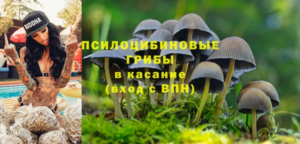 PSILOCYBIN Алексин